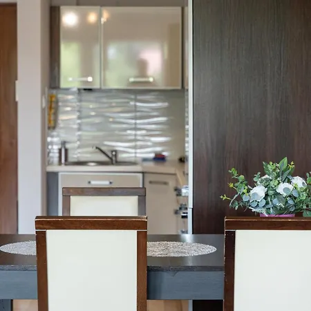 Apartment Grabskiego Comfort By Bookinghost
